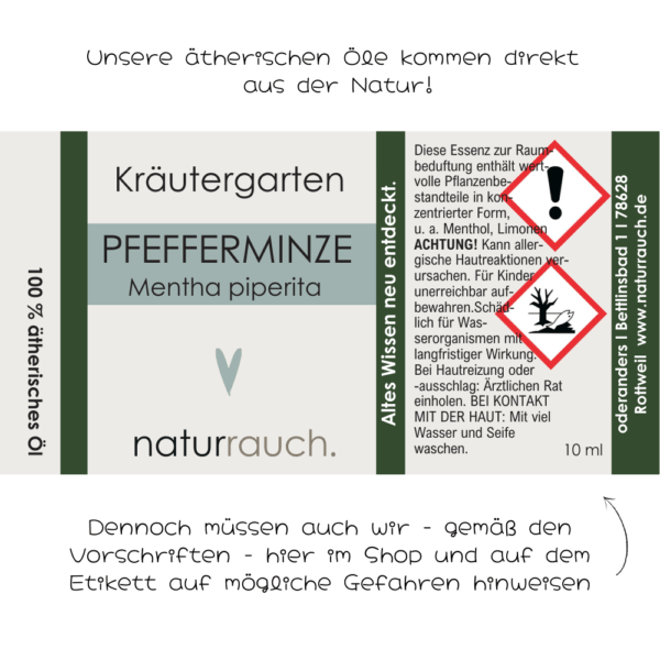 Pfefferminze – Bild 4