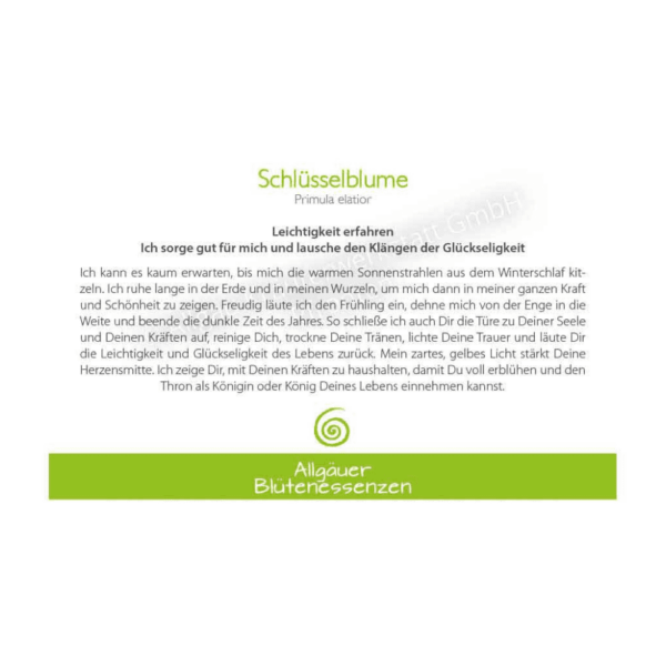 Blütenessenz I Leichtigkeit I Schlüsselblume – Bild 2